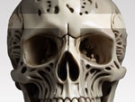 Algorithms and Models skull1