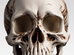 Algorithms and Models skull2