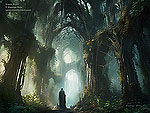 Imaginary Worlds